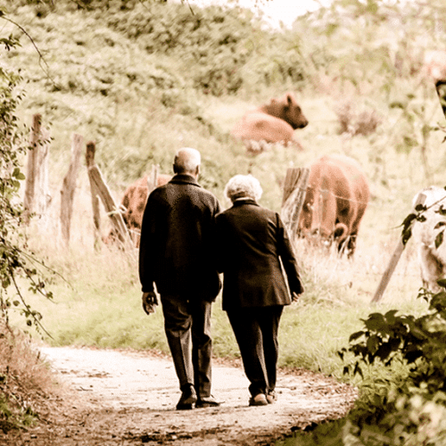 Reminiscence Therapy and Life Review: Empowering Older Adults