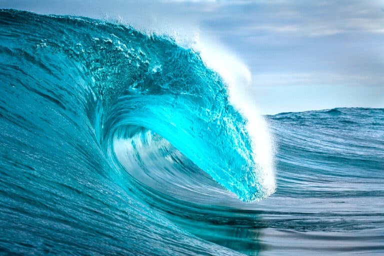 Catch the Wave:  Delivering Exceptional Customer Service to Improve Patient Care