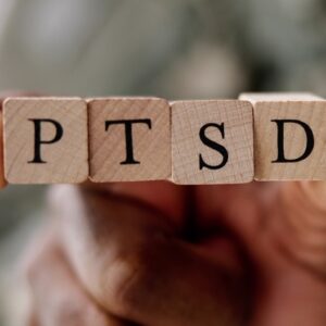*NEW* Post-Traumatic Stress Disorder (PTSD)  Across The Lifespan: Therapeutic Approaches and Meaningful Intervention